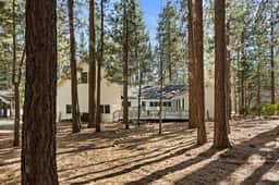 Switzerland Estate | Hot Tub, Trails, Games, Pets - Image 4